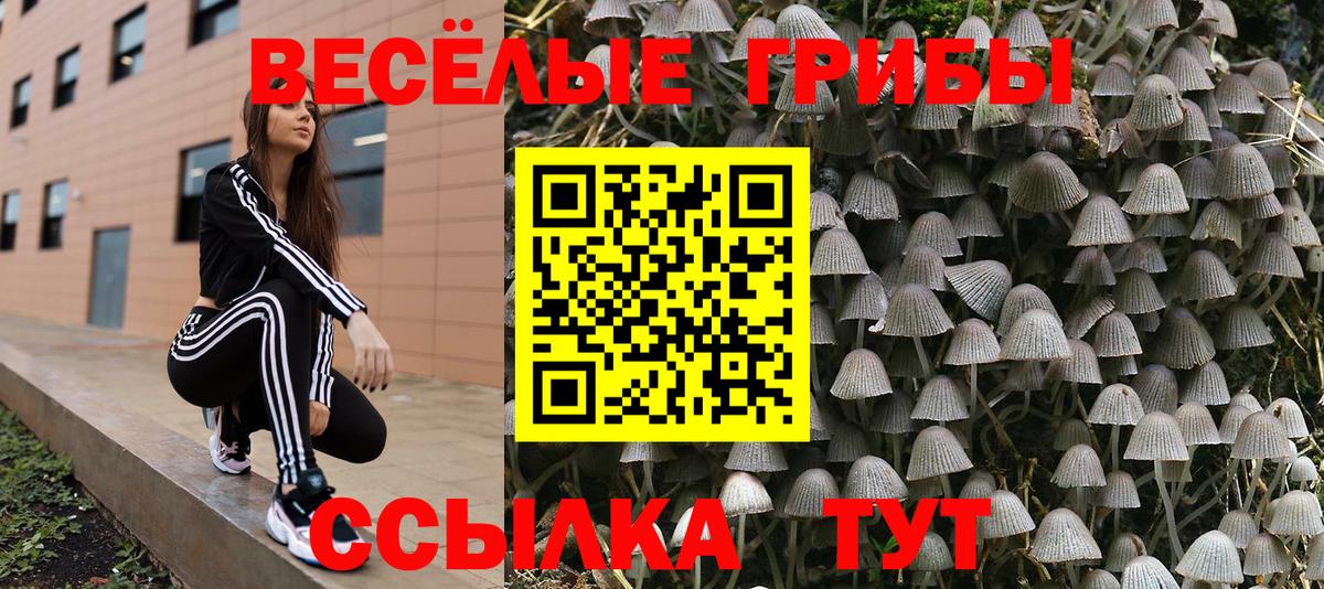 Псилоцибиновые грибы GOLDEN TEACHER  Псилоцибиновые грибы мухоморы  Благодарный  Вход с VPN 